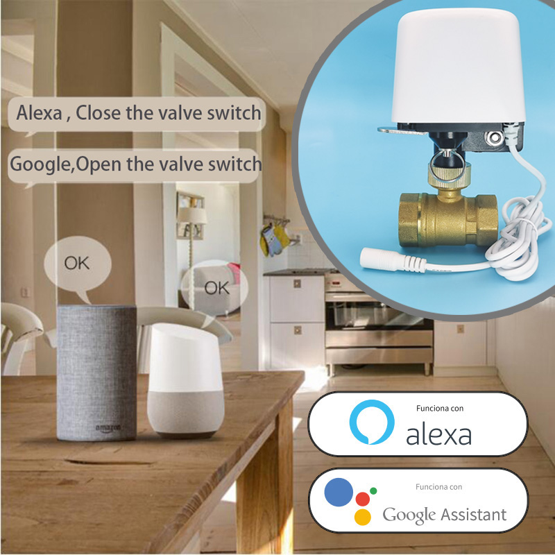 Vanne d'eau intelligente Tuya  - Smart Garden Water avis et prix