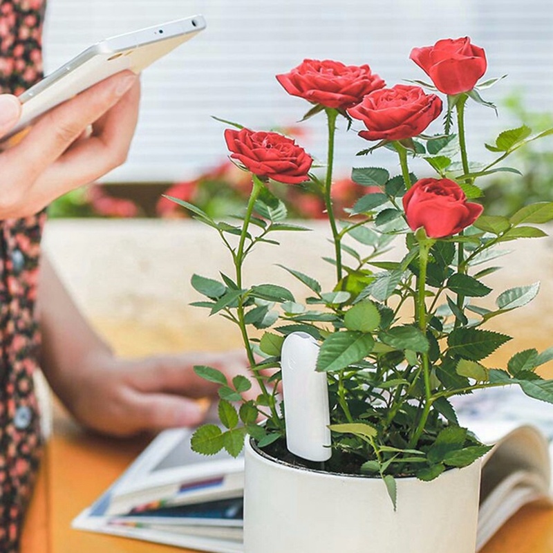 HHCC-Moniteur intelligent de f - Smart Garden Water avis et prix