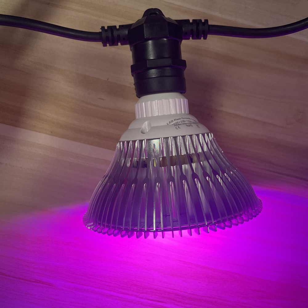 Guirlande lumineuse LED de 10M - Smart Garden Light avis et prix