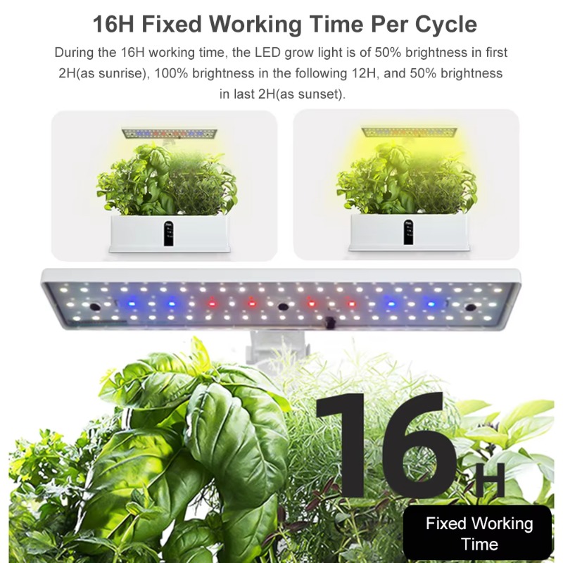 Système de culture hydroponiqu - Smart Garden Light avis et prix