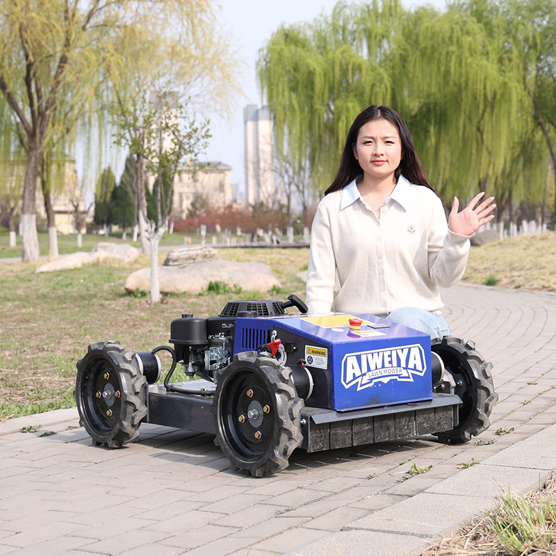 Tondeuse à gazon robotisée aut - Smart Garden Trimmer avis et prix
