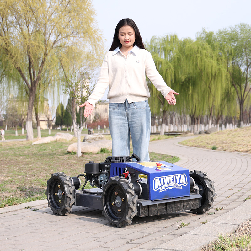 Tondeuse à gazon robotisée aut - Smart Garden Trimmer avis et prix