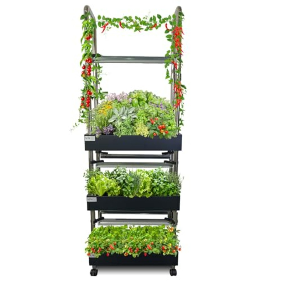 Système de culture hydroponiqu - Smart Garden Water avis et prix
