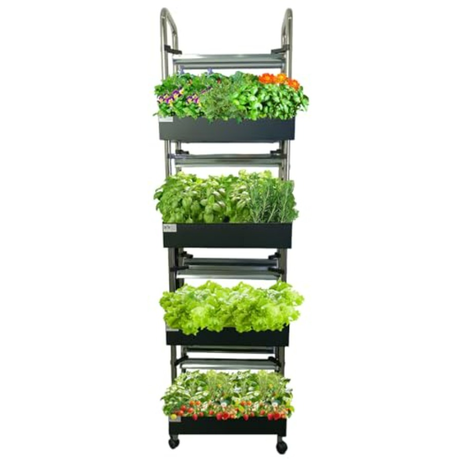 Système de culture hydroponiqu - Smart Garden Water avis et prix