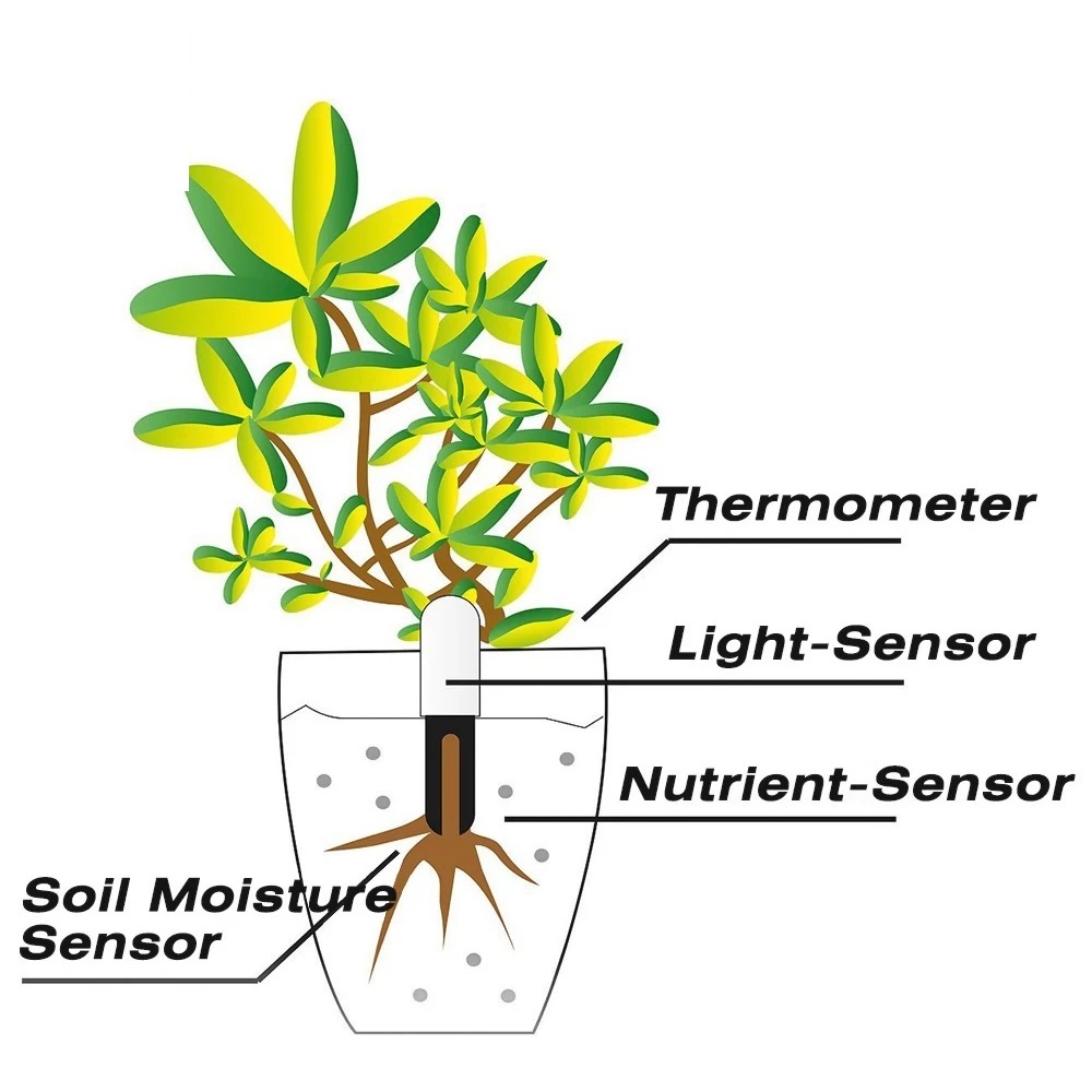 HHCC-Moniteur de Floraison pou - Smart Garden Water avis et prix