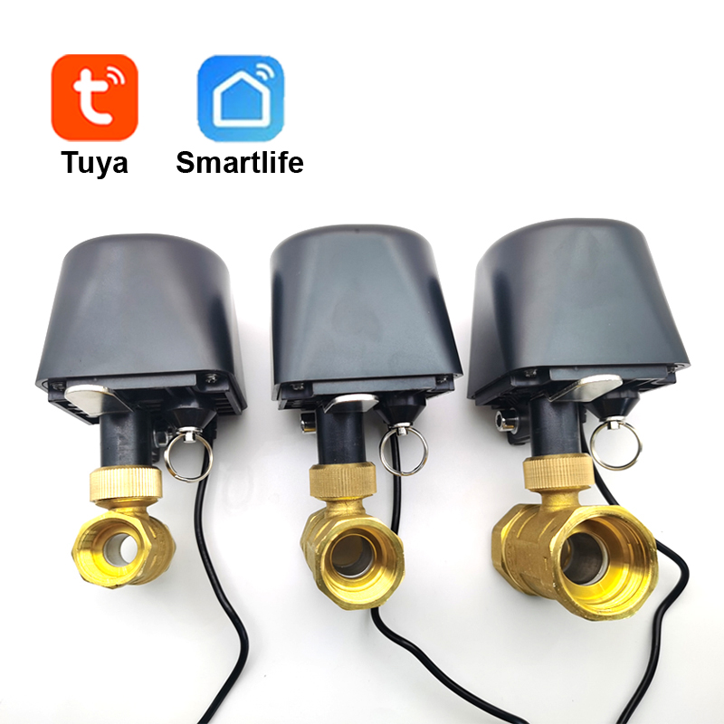 Tuya WiFi ou Zigbee vanne d'ea - Smart Garden Water avis et prix